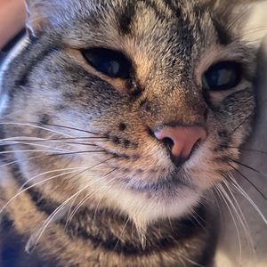 Meet your Posher, Sonora